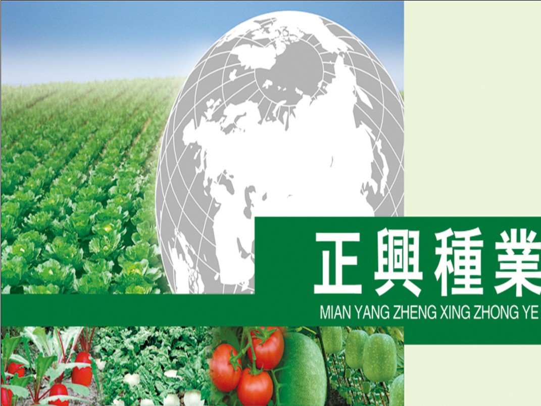 正 興 種 業(yè)